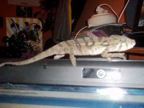 100_0186.jpg