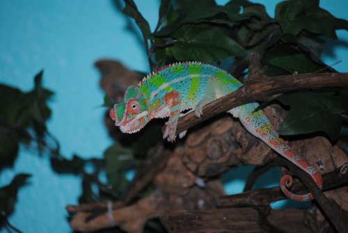 DSC_0678.jpg