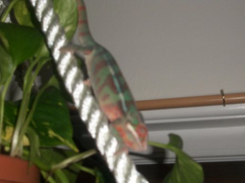 100_1365.jpg