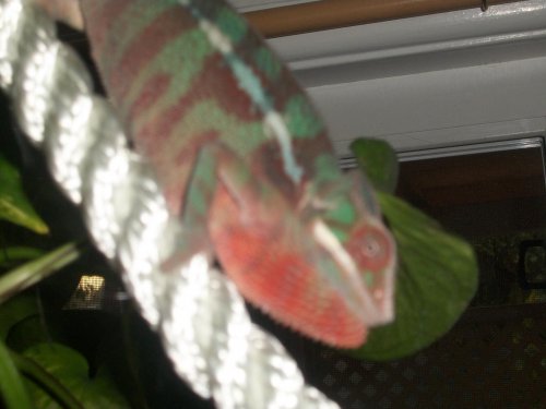 100_1369.jpg
