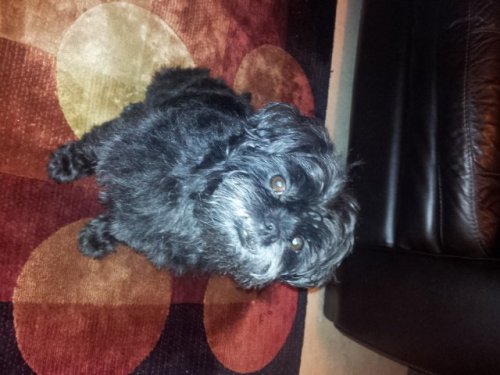 2012-01-15 17.05.54.jpg