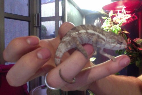 Foto del día 20-01-12 a la(s) 17.47 #6.jpg