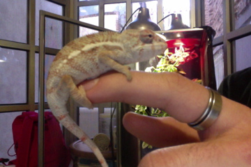 Foto del día 20-01-12 a la(s) 17.48 #4.jpg