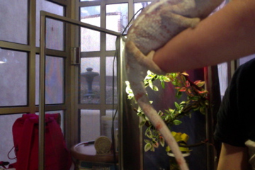 Foto del día 20-01-12 a la(s) 17.48 #3.jpg