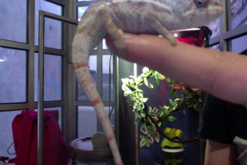 Foto del día 20-01-12 a la(s) 17.48 #2.jpg