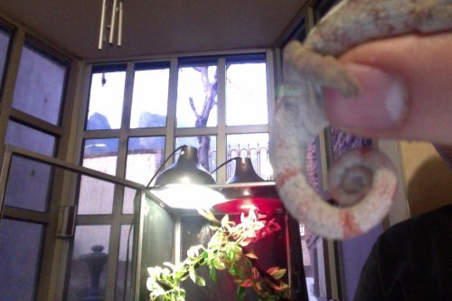 Foto del día 20-01-12 a la(s) 18.01 #5.jpg