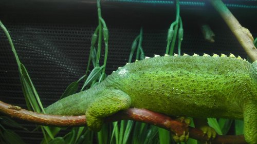 IMAG0422.jpg