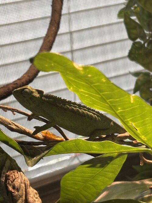 IMG_0650.jpeg