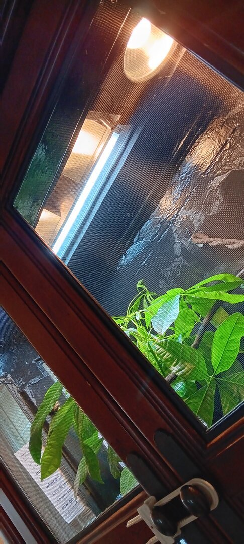20250711_183158.jpg