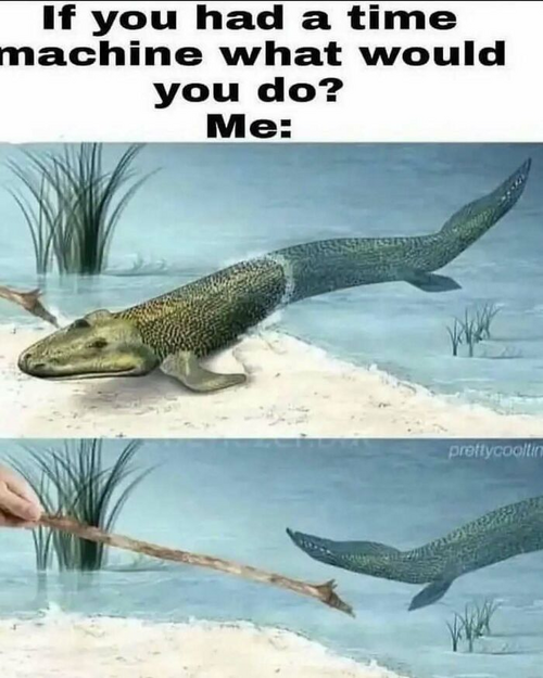 Meme showing a prehistoric fish reacting humorously to a stick, illustrating casual nihilism r...png