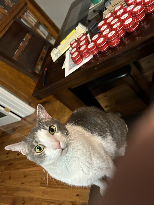 IMG_1862.jpeg