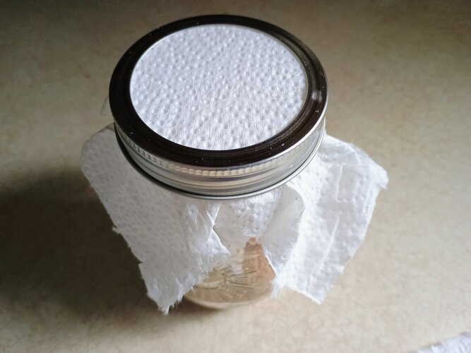 wax1.jpg