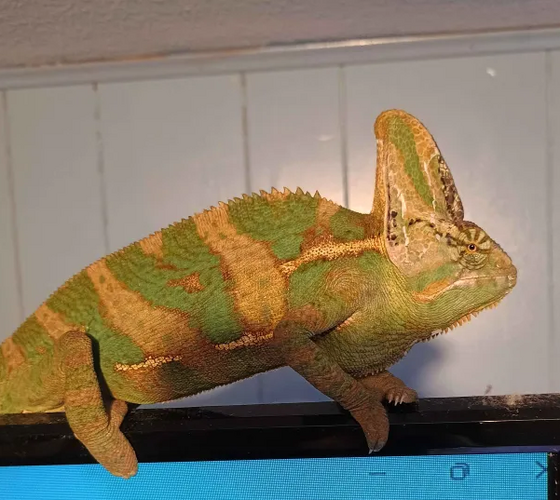 Screenshot 2025-08-11 210943.png