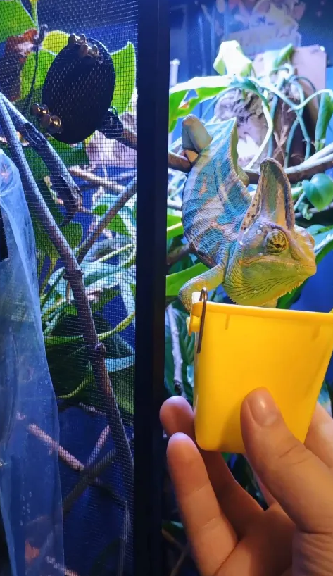 Screenshot 2025-08-11 210929.png