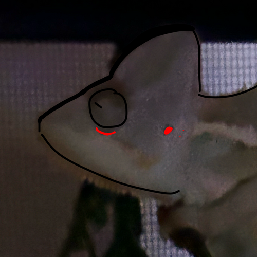 Untitled56_20250812230532.png