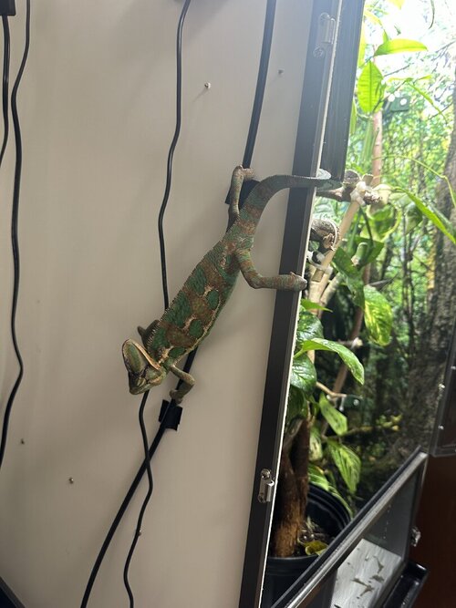 IMG_1598.jpeg