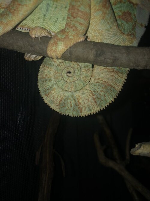 IMG_1042.JPEG