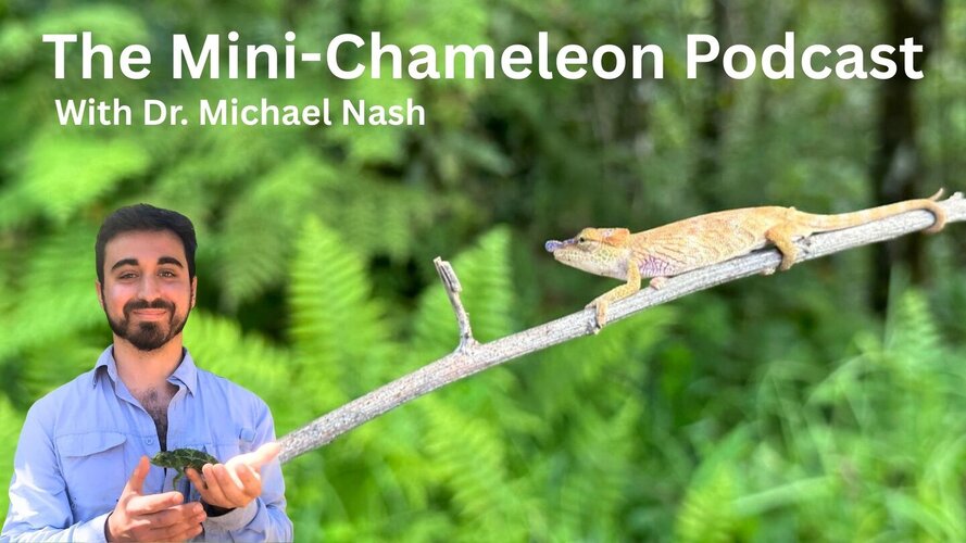 The Mini-Chameleon Podcast.jpg