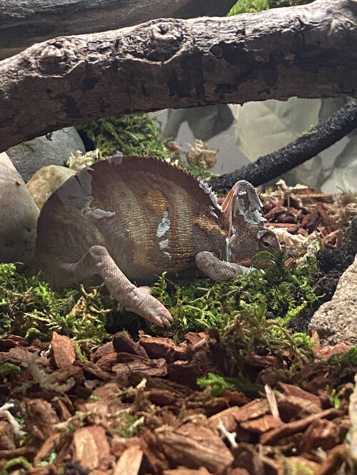 Mistakes: The Best Teachers