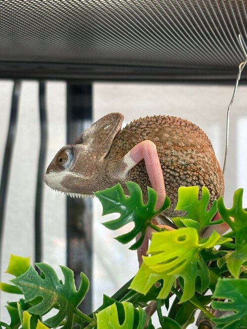 WhatsApp Image 2025-08-27 at 14.07.56.jpeg