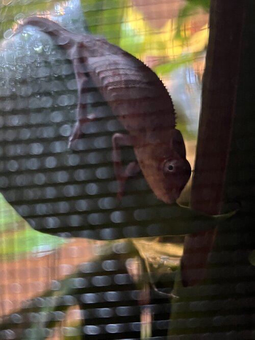 IMG_0678.jpeg
