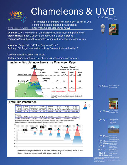 UVB-infographic-digital-2024.jpg