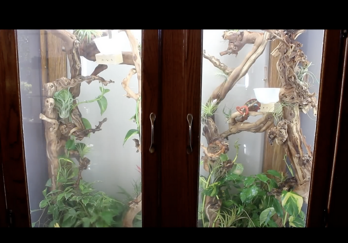 Screenshot 2025-09-24 at 10.25.31 PM.png