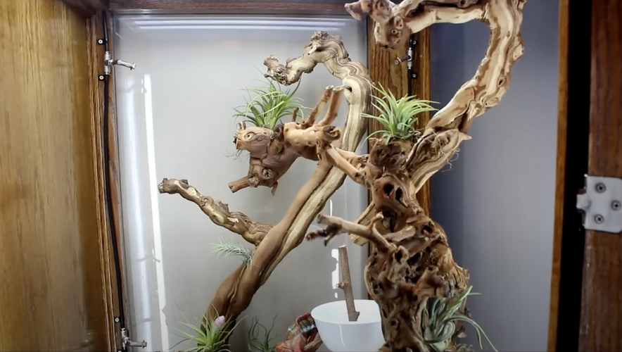 Screenshot 2025-09-24 at 10.25.52 PM.png