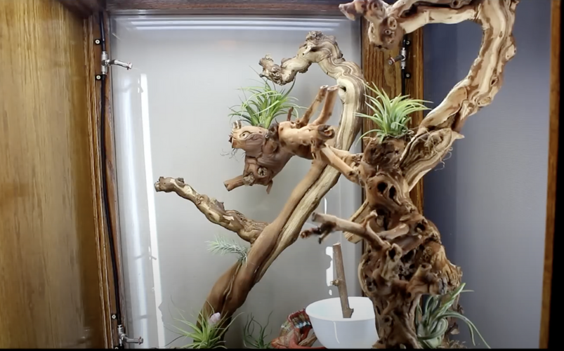 Screenshot 2025-09-24 at 10.26.09 PM.png