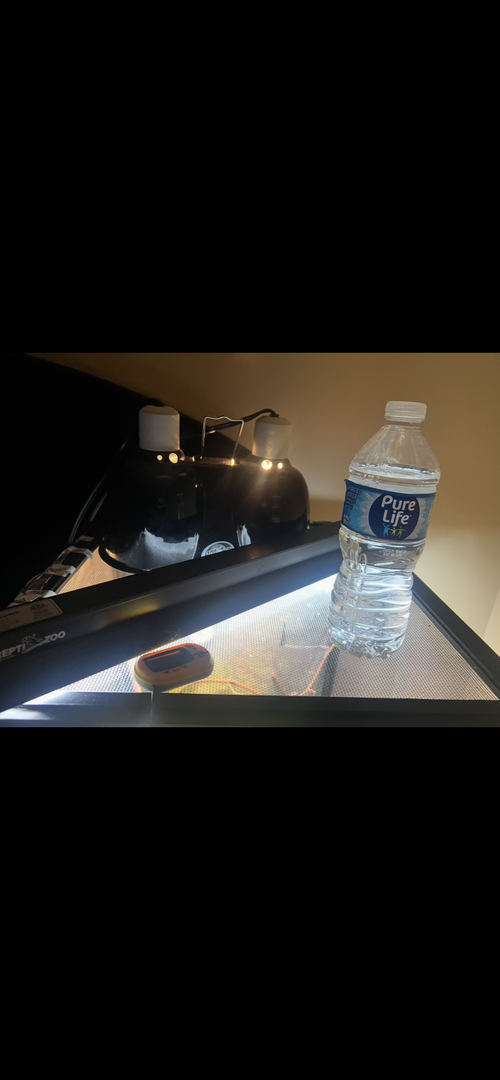 IMG_0195.png