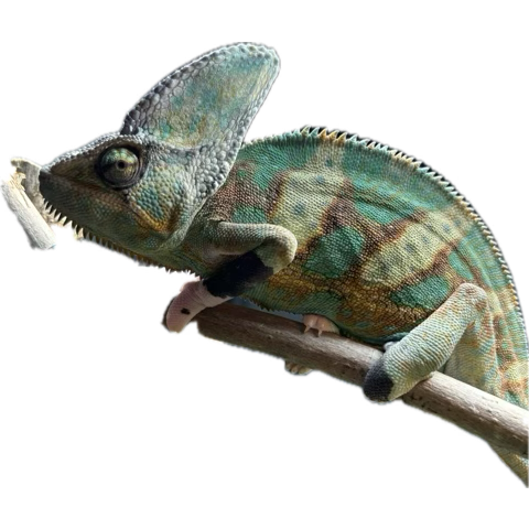 1761079349168.png