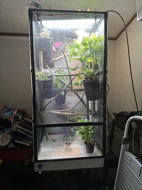 IMG_2981.jpeg
