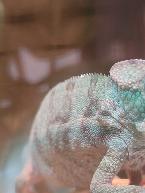 Screenshot_20251026_091701_Photo Editor.jpg