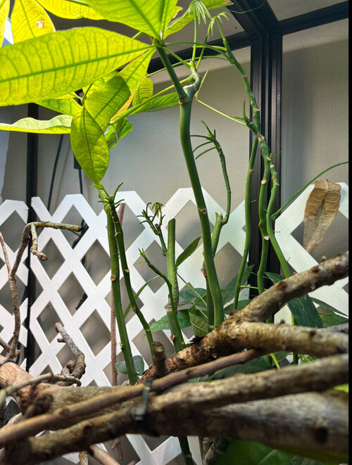 IMG_0559.jpeg IMG_0559.jpeg