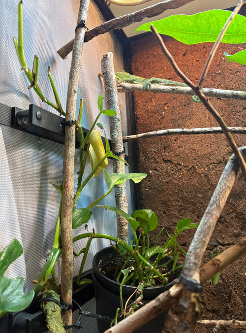 IMG_0558.jpeg IMG_0558.jpeg