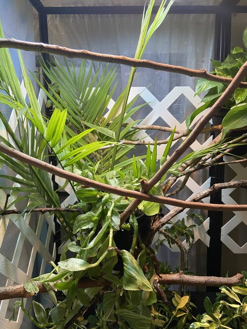 IMG_5617.jpeg IMG_5617.jpeg