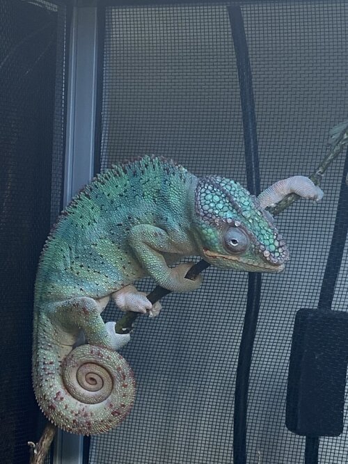 IMG_1768.jpeg IMG_1768.jpeg