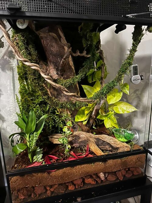 WhatsApp Image 2025-11-02 at 12.45.18 AM.jpeg