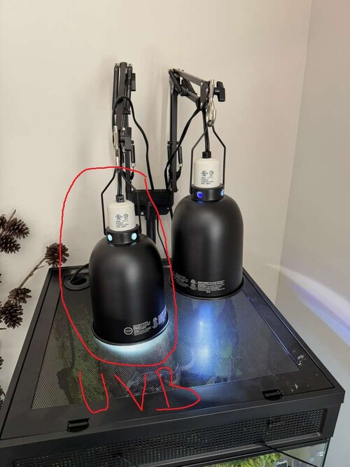 WhatsApp Image 2025-11-03 at 3.22.58 PM (1).jpeg