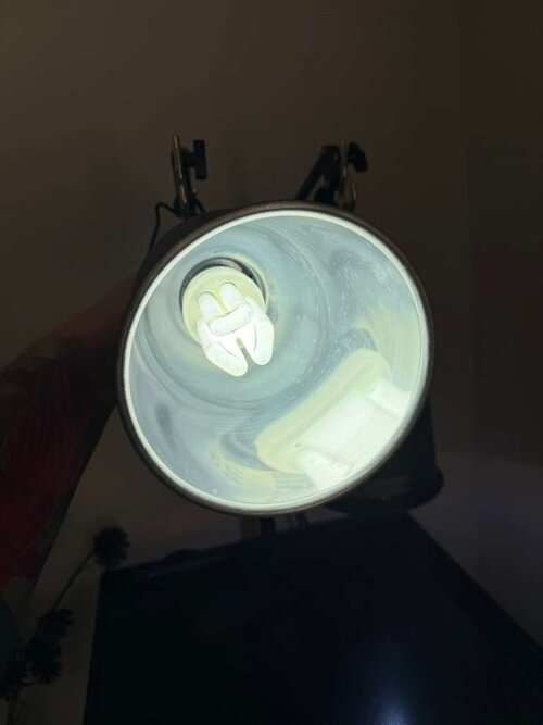 WhatsApp Image 2025-11-03 at 3.22.58 PM.jpeg