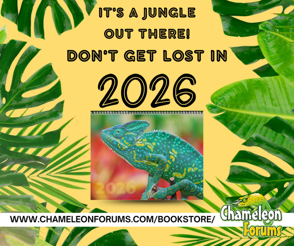 FB 2026 Calendar.png