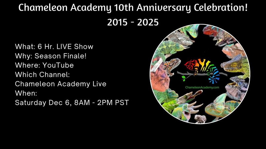 Office Hours (2).jpg