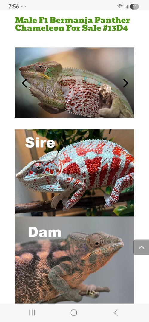 Screenshot_20260123_195640_Samsung Internet.jpg