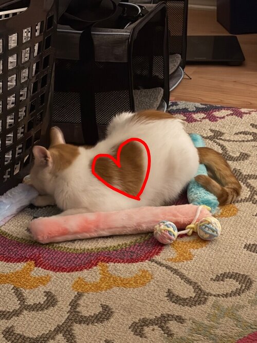 344317-8f06af5e3d575095c817f8553af8a2df (1).jpg