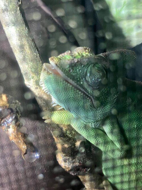 IMG_0473.jpeg