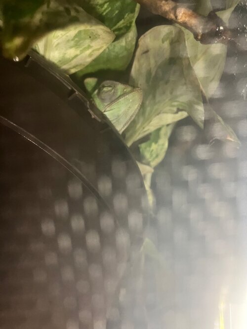 IMG_1093.jpeg