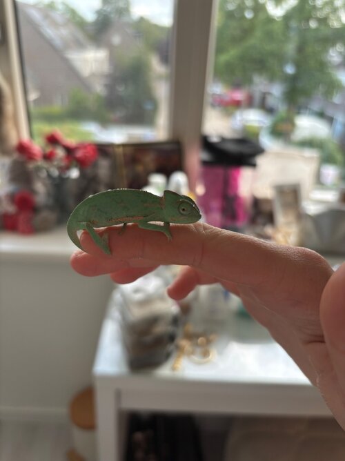 IMG_8580.jpeg