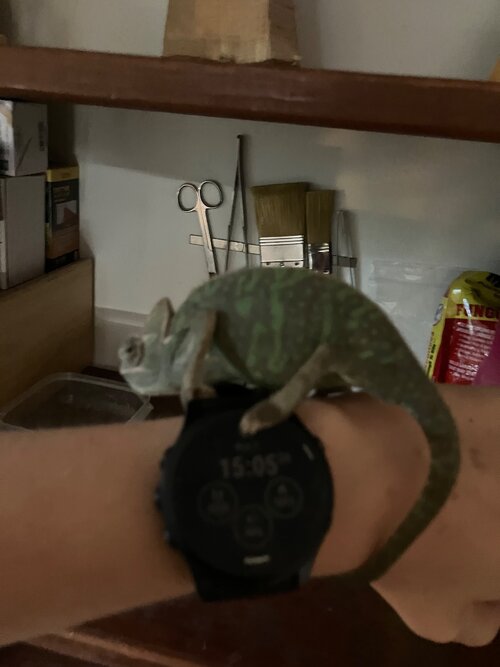 IMG_1237.jpeg
