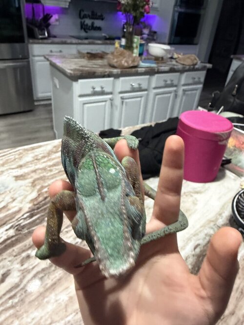 IMG_0549.jpeg