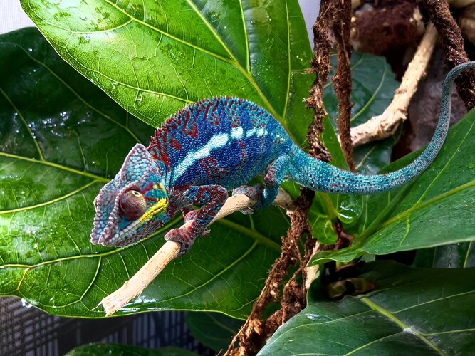 IMG_6116.jpeg